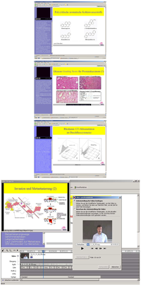 Education 03 00001 g001 200
