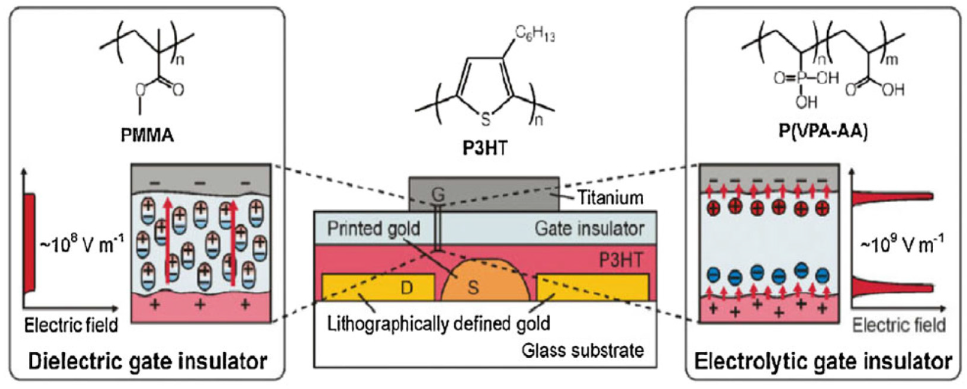 Electronics Free FullText Electrolytic Gated Organic FieldEffect
