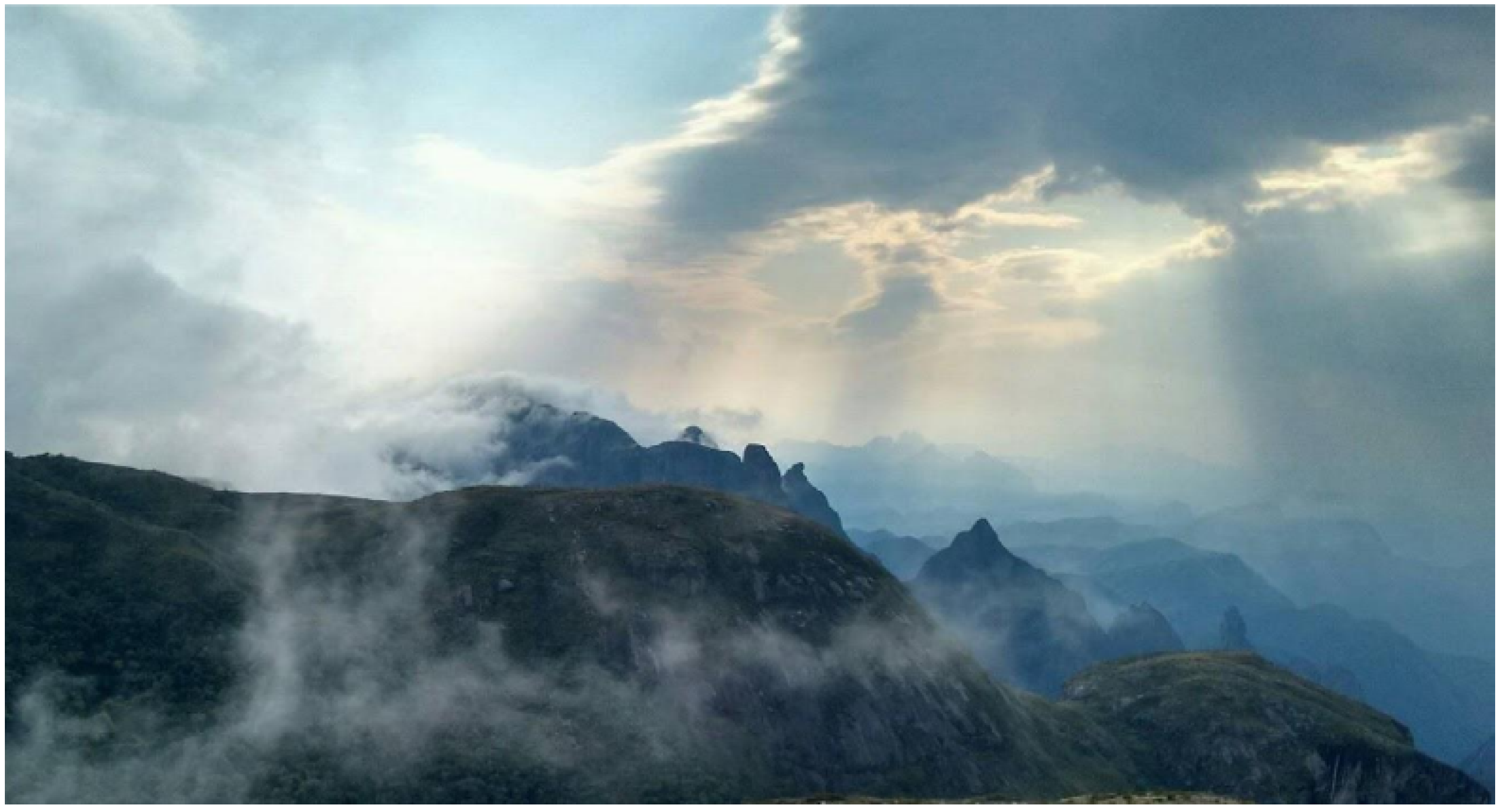 Electronics 09 00696 g014 Electronics 09 00696 g014