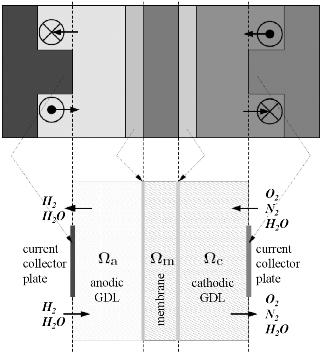 thesis mathematical modeling fuel cell dynamic thesis mathematical modeling fuel cell dynamic