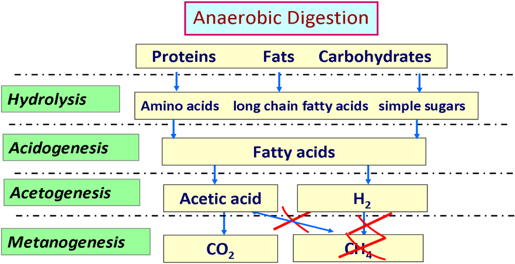 Anaerobic respiration word equation