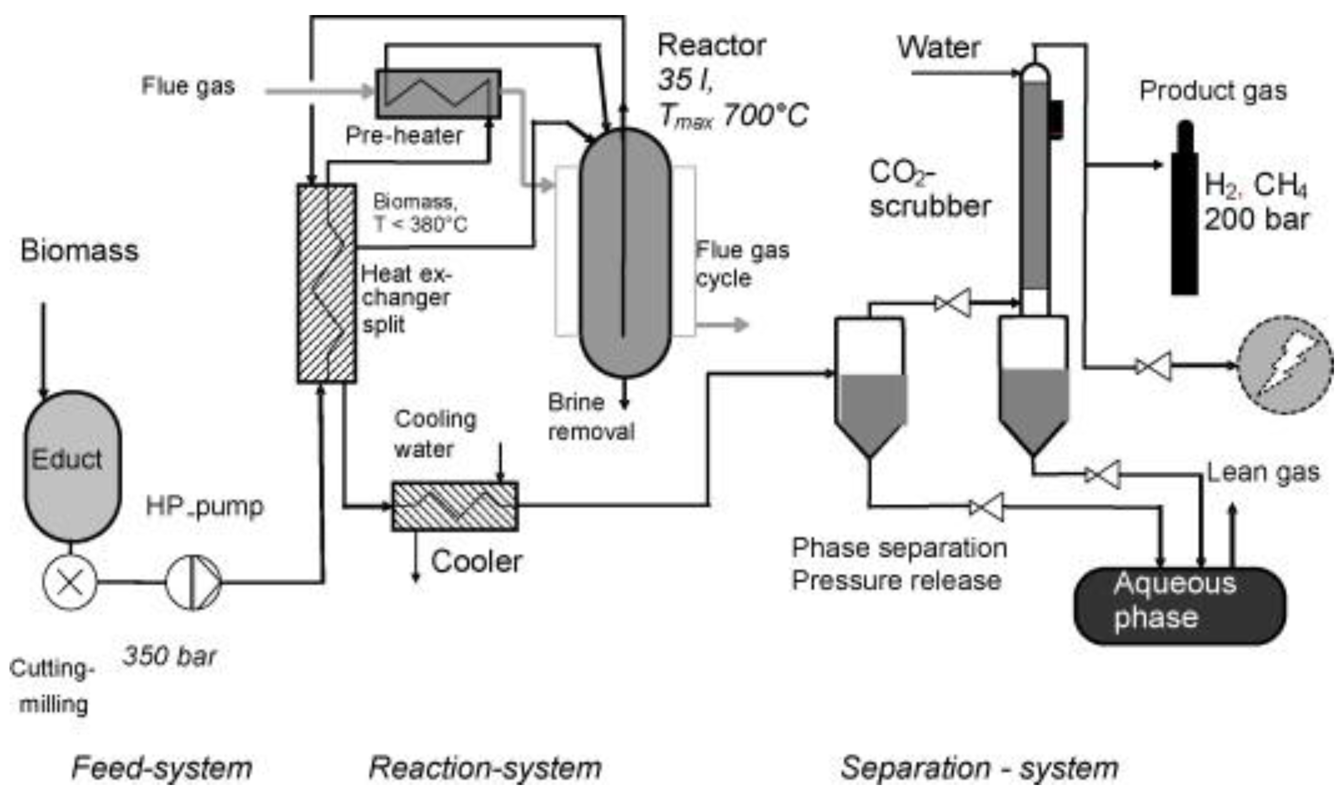 Energies | Free Full-Text | Supercritical Water Gasification of Biomass