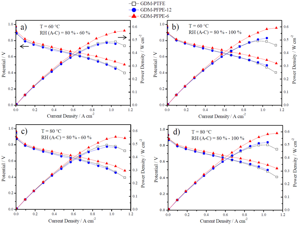 cell membrane research paper Cell membrane permeability in beetroot this research paper cell membrane permeability in beetroot and other 64,000+ term papers, college essay examples and free essays are available now on reviewessayscom. cell membrane research paper Cell membrane permeability in beetroot this research paper cell membrane permeability in beetroot and other 64,000+ term papers, college essay examples and free essays are available now on reviewessayscom.