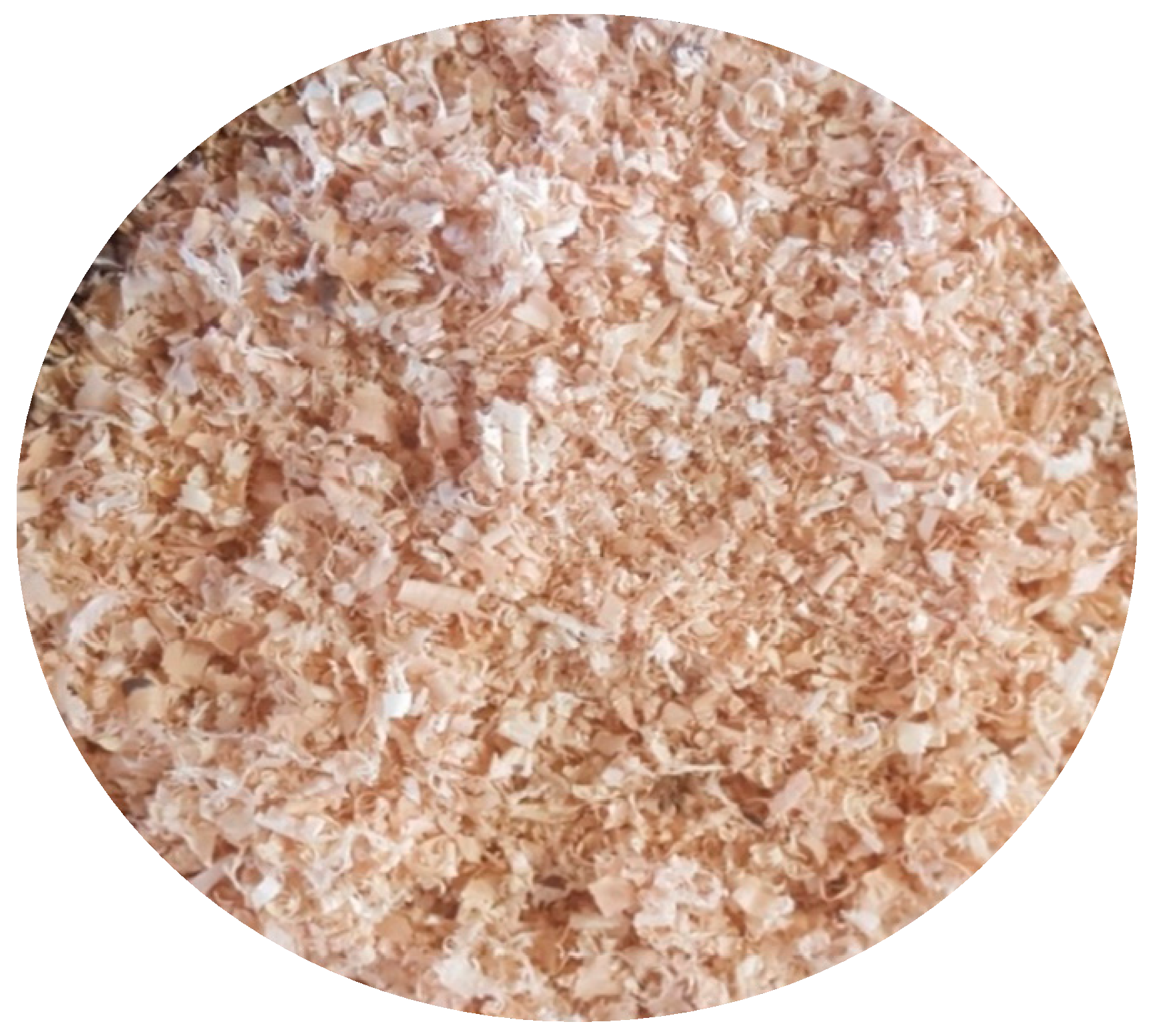 Energies 10 00349 g004