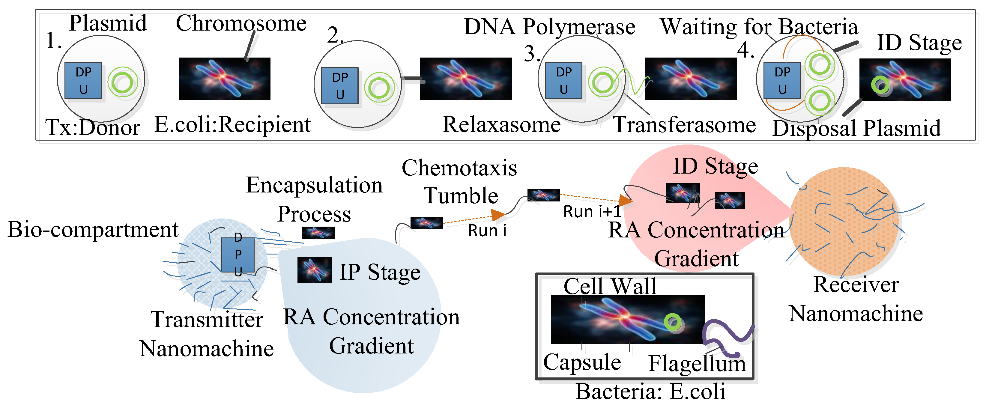 Energies 10 02073 g016