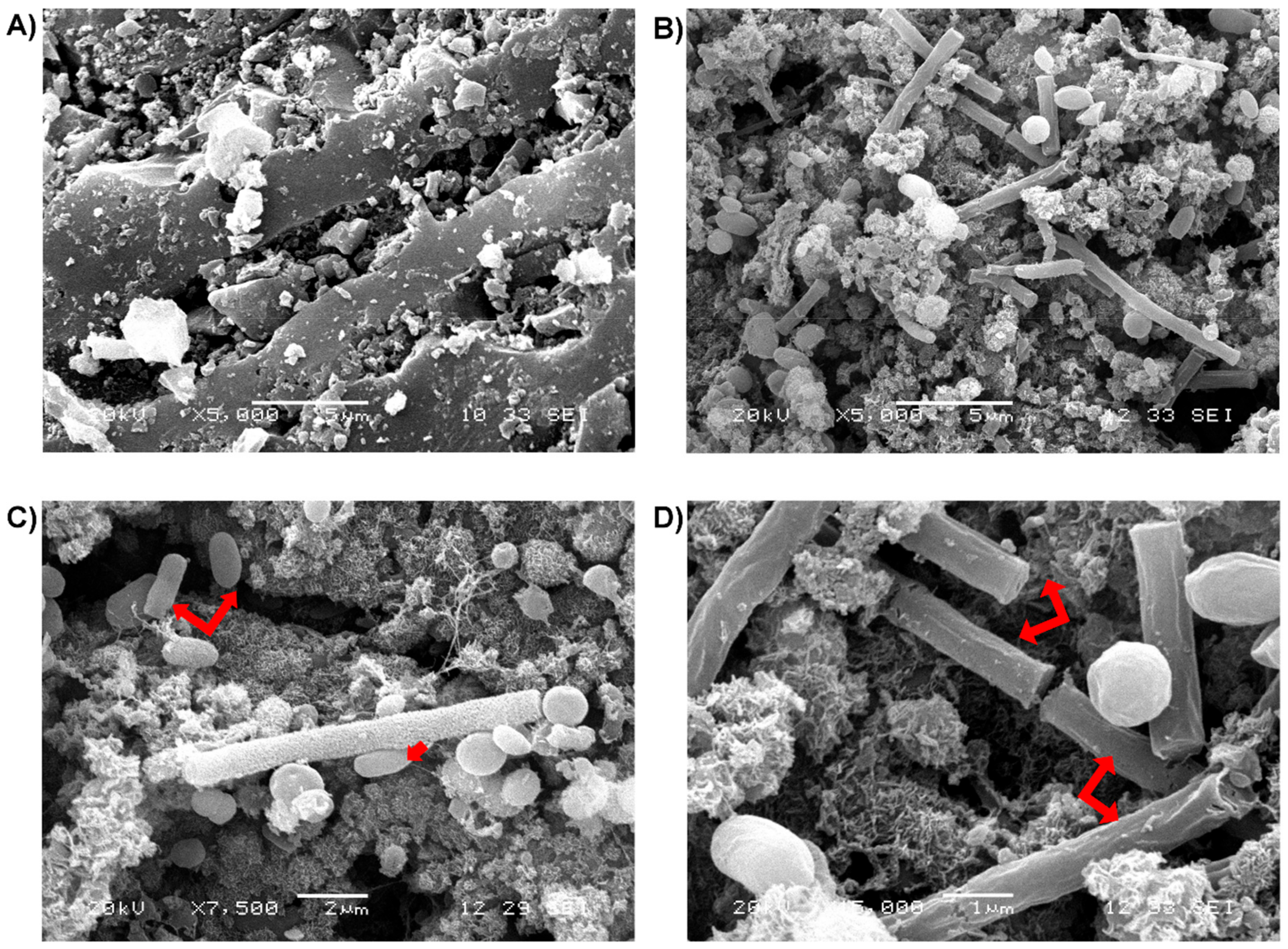 Energies 11 02101 g005