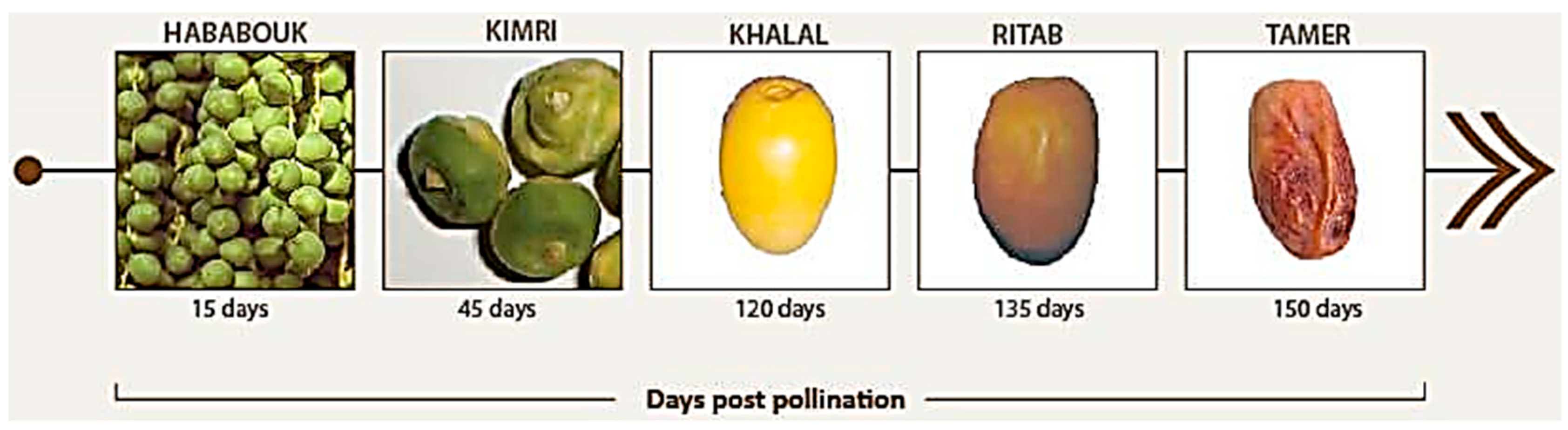 Energies 12 03147 g002