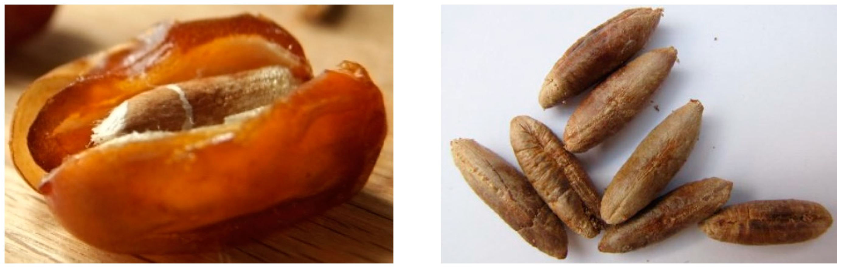 Energies 12 03147 g003