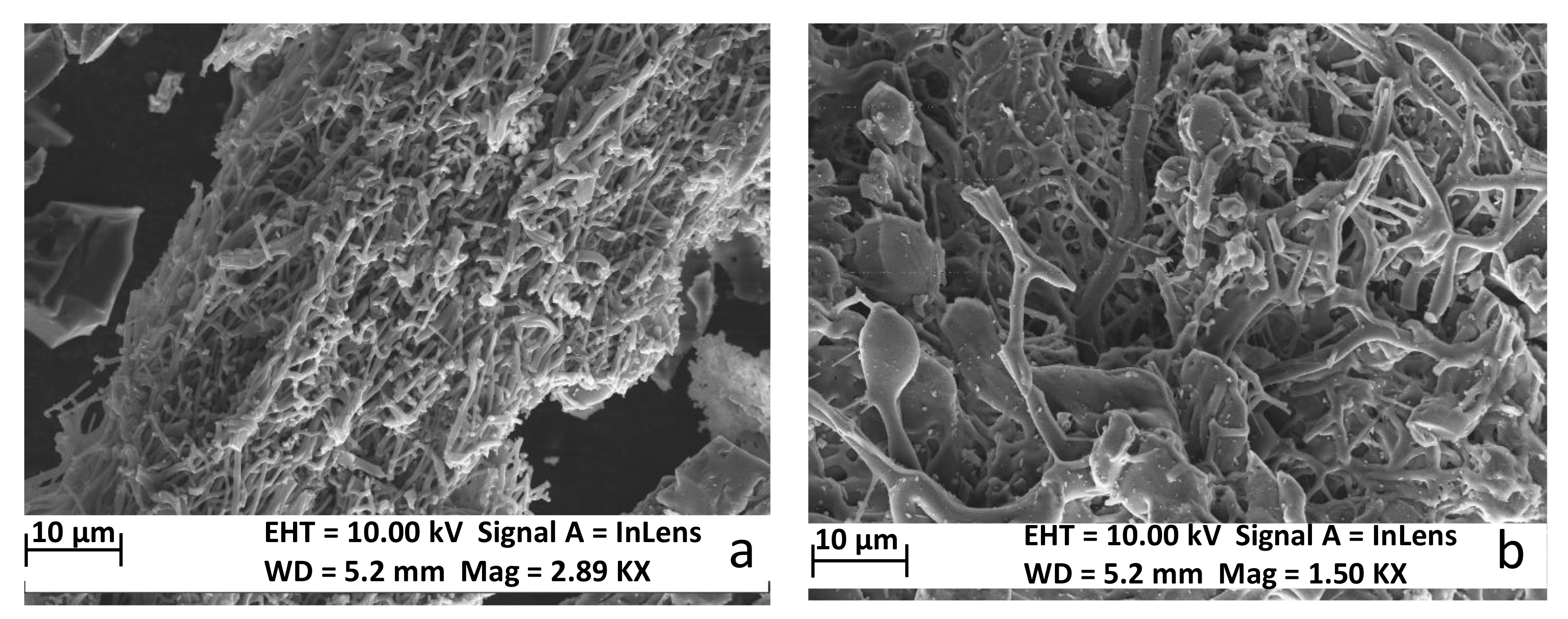 Energies 13 03029 g001