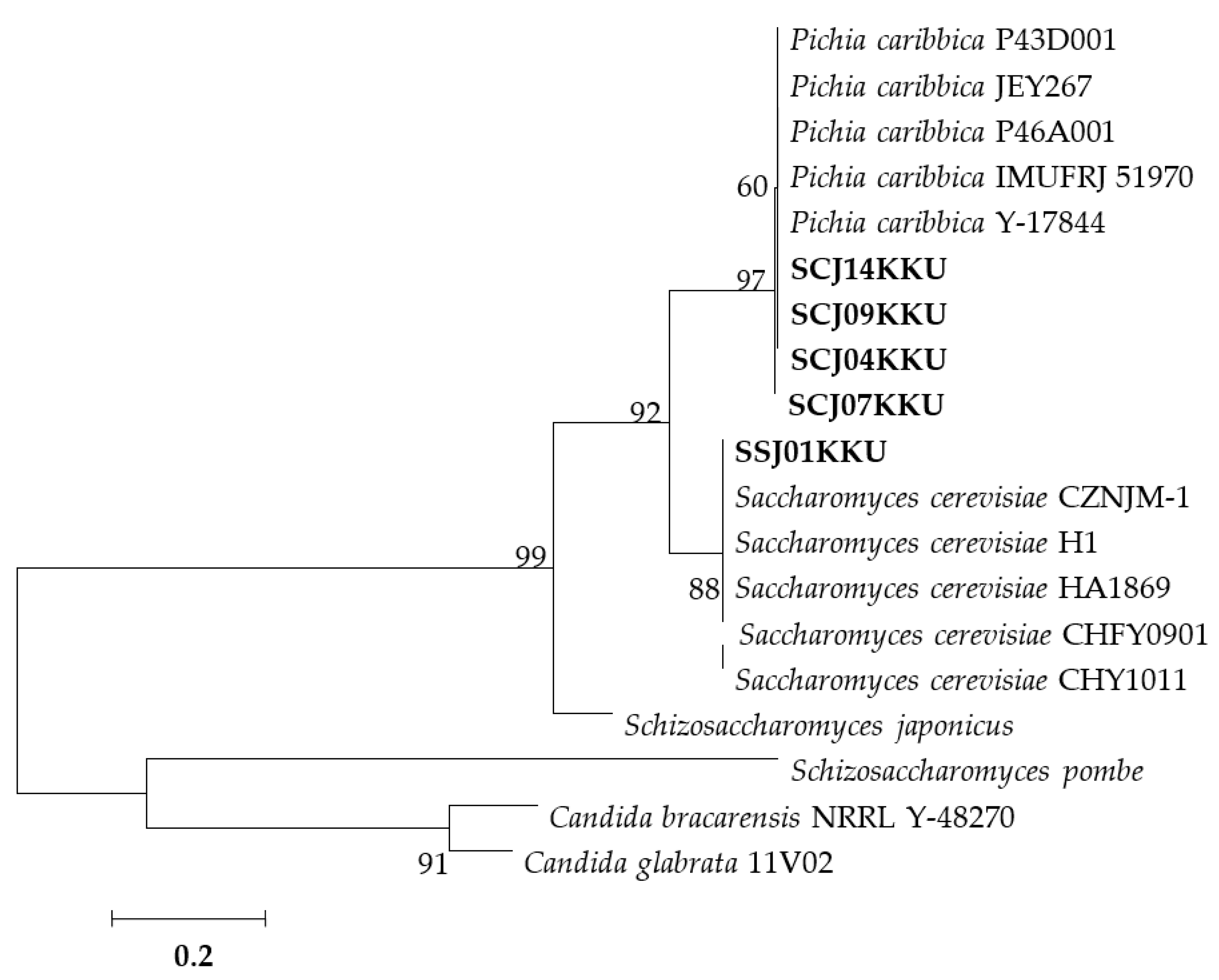 Energies 14 00557 g004