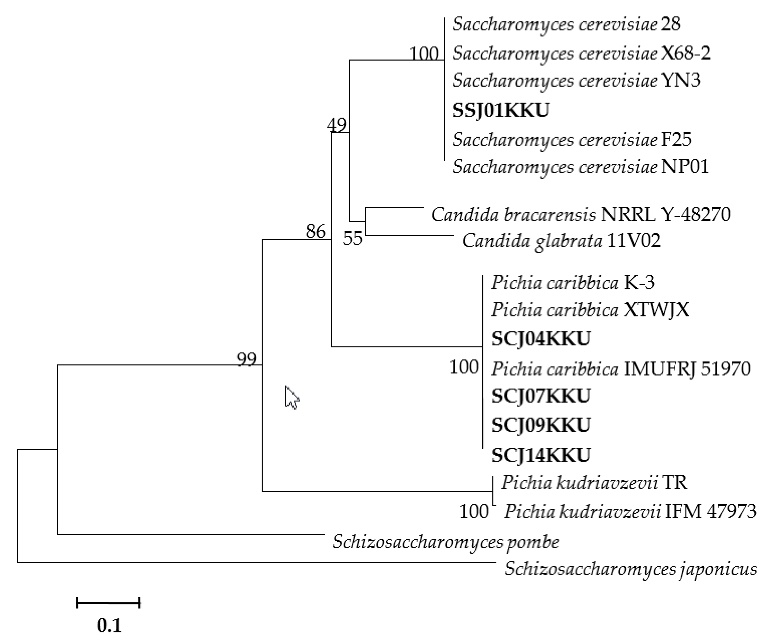 Energies 14 00557 g005