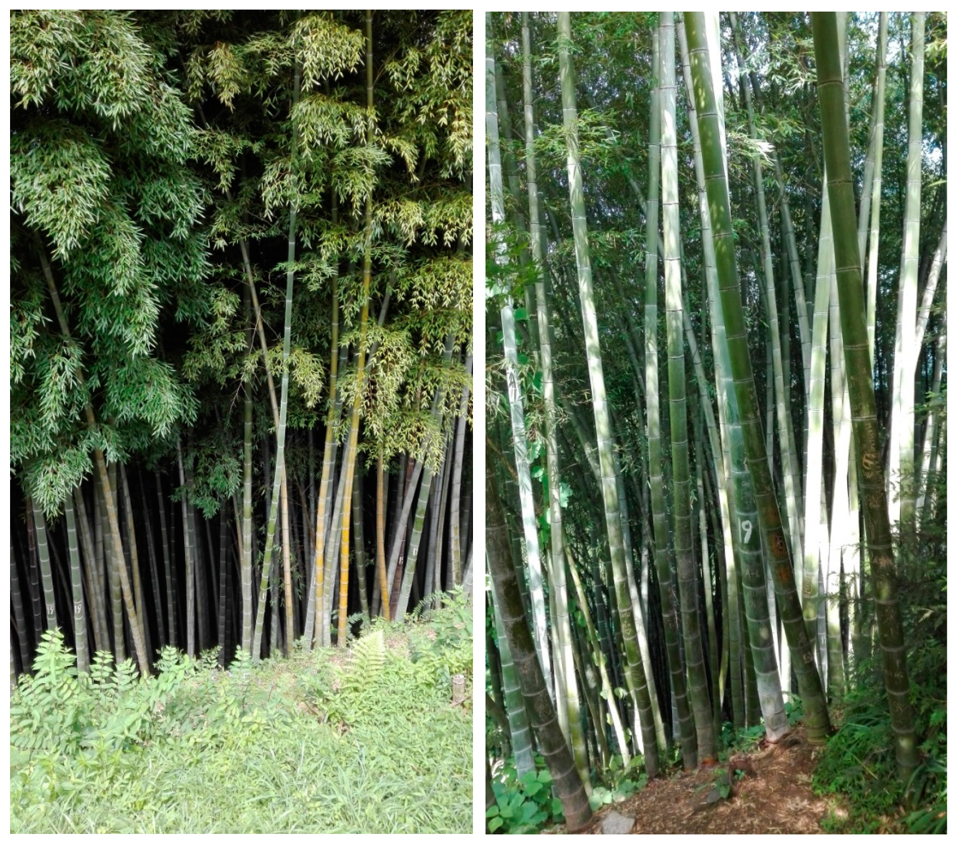 Energies 15 01928 g002