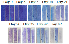 Energies 16 01874 i002