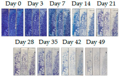 Energies 16 01874 i005