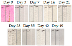 Energies 16 01874 i006