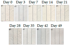 Energies 16 01874 i007