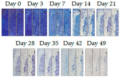 Energies 16 01874 i008