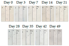 Energies 16 01874 i010