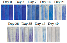 Energies 16 01874 i014
