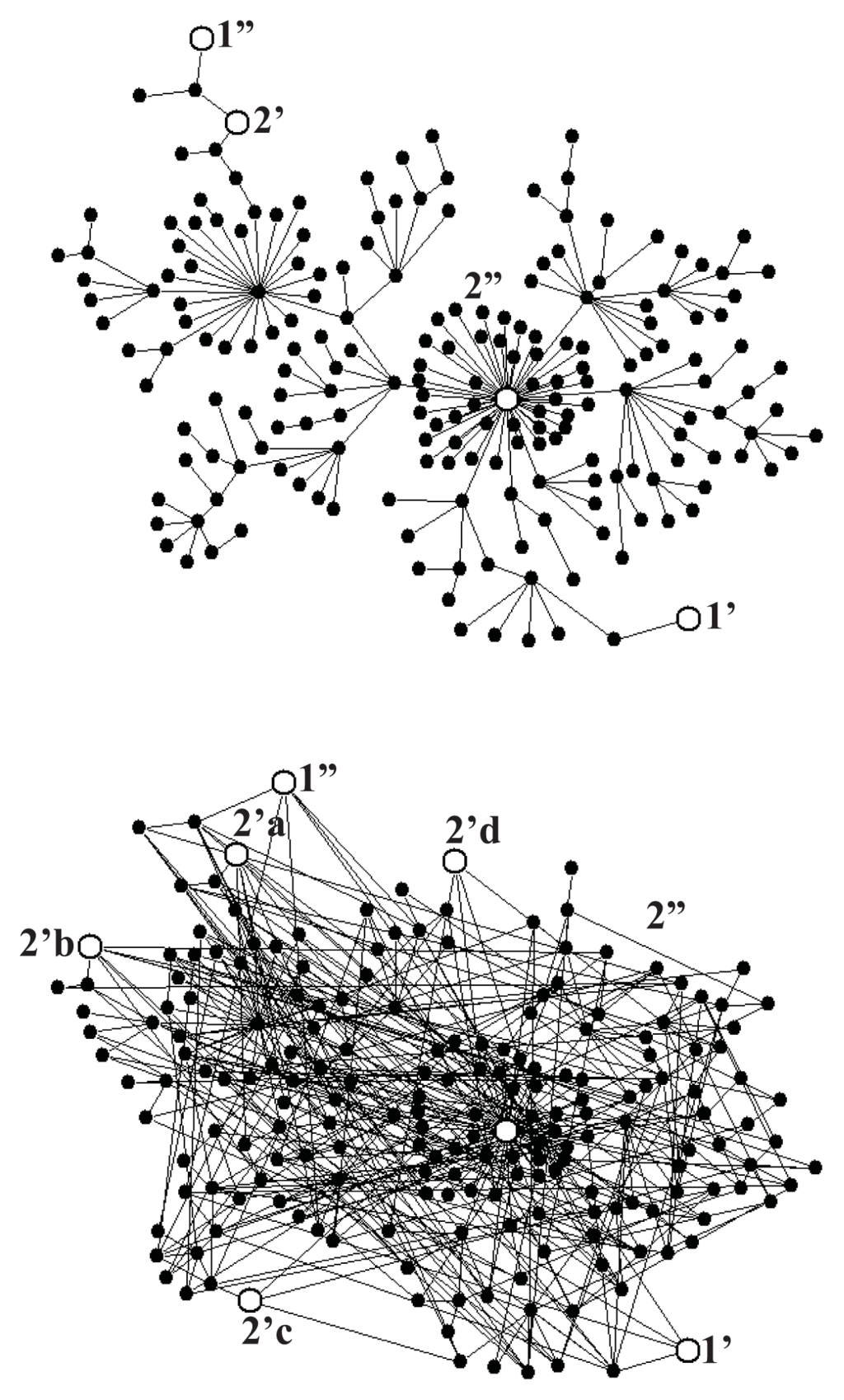 Entropy 16 01969f5 1024