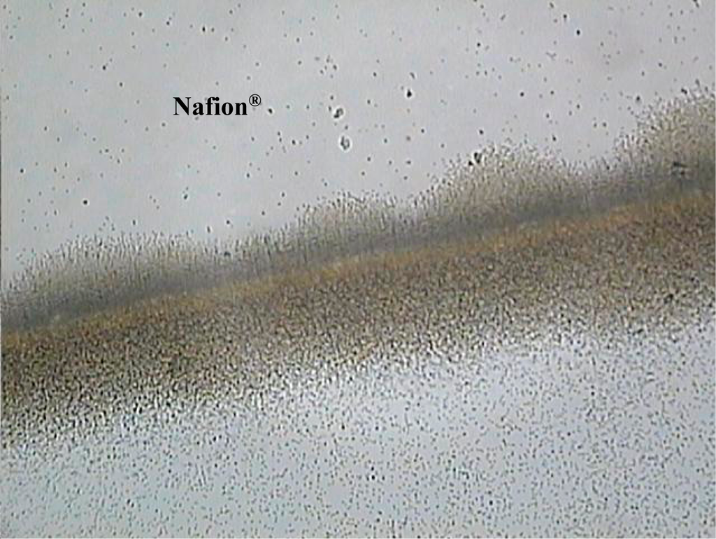 Entropy 16 05954f6 1024