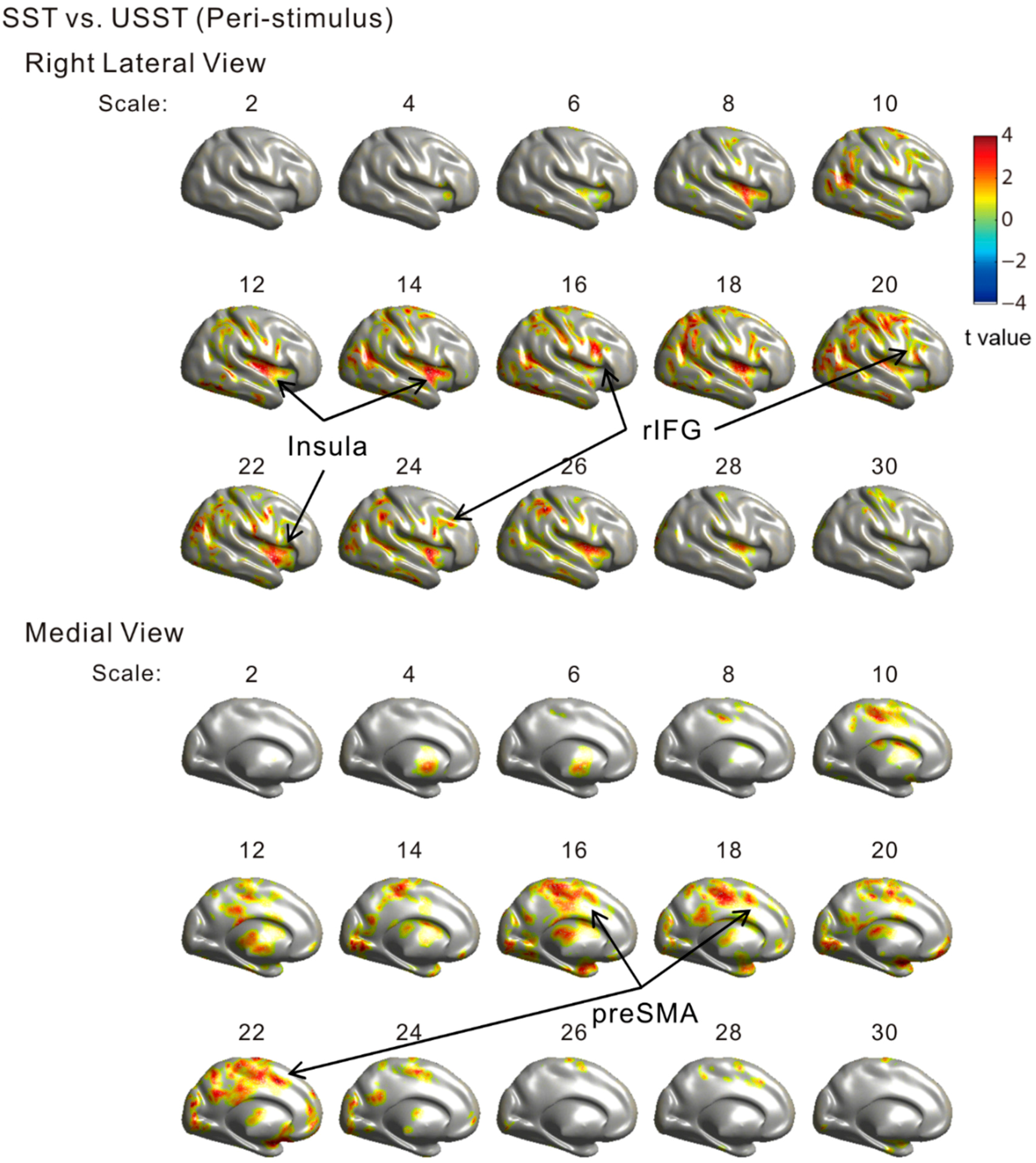 dynamical processes on complex networks pdf