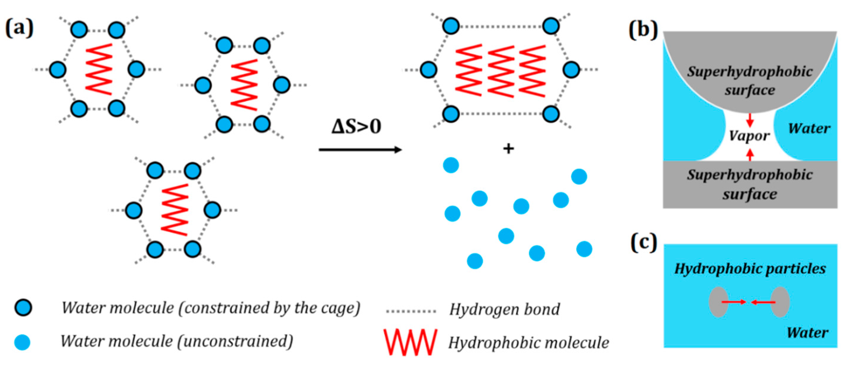 the adrenocortical hormones their origin · chemistry