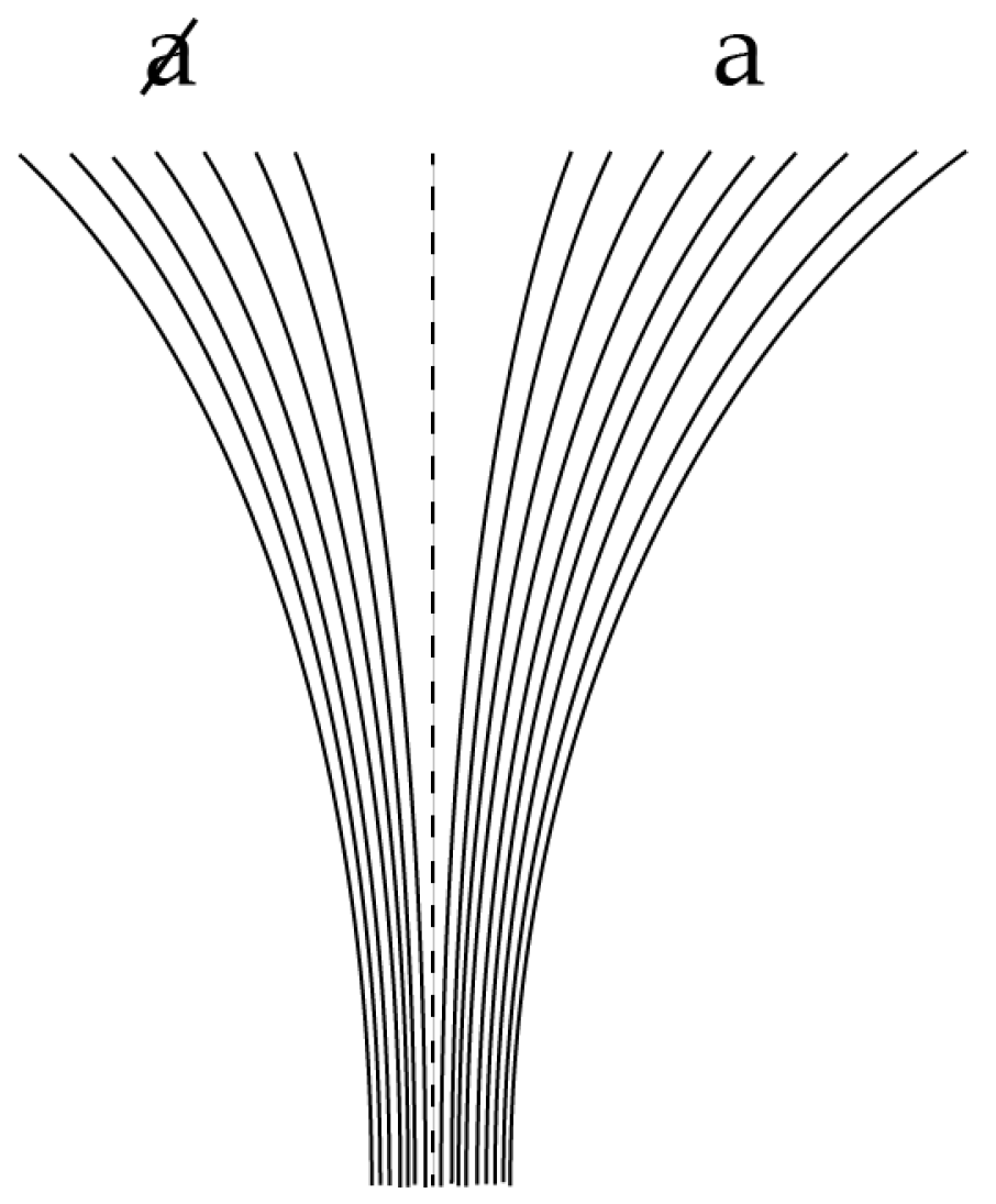Entropy 20 00356 g003