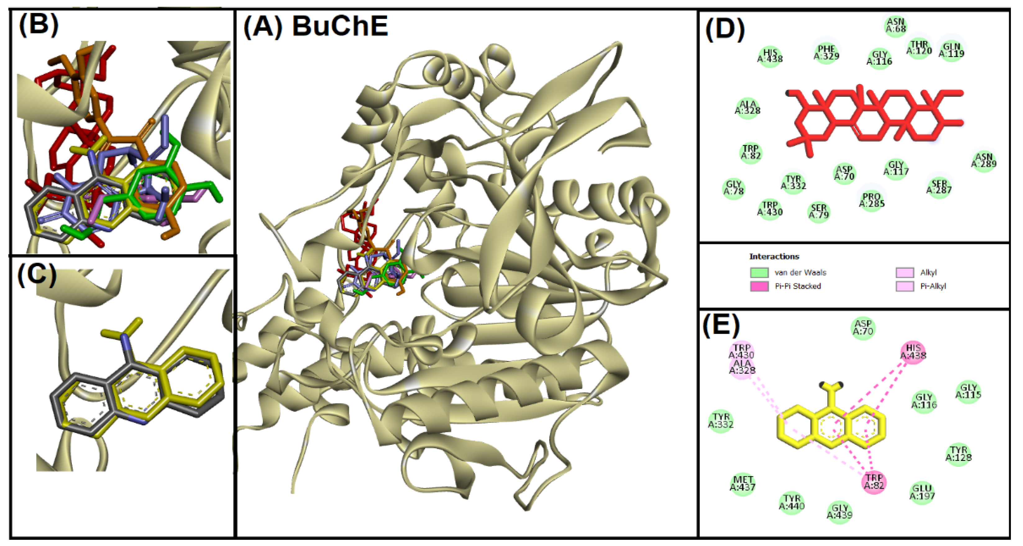 Entropy 24 00593 g002