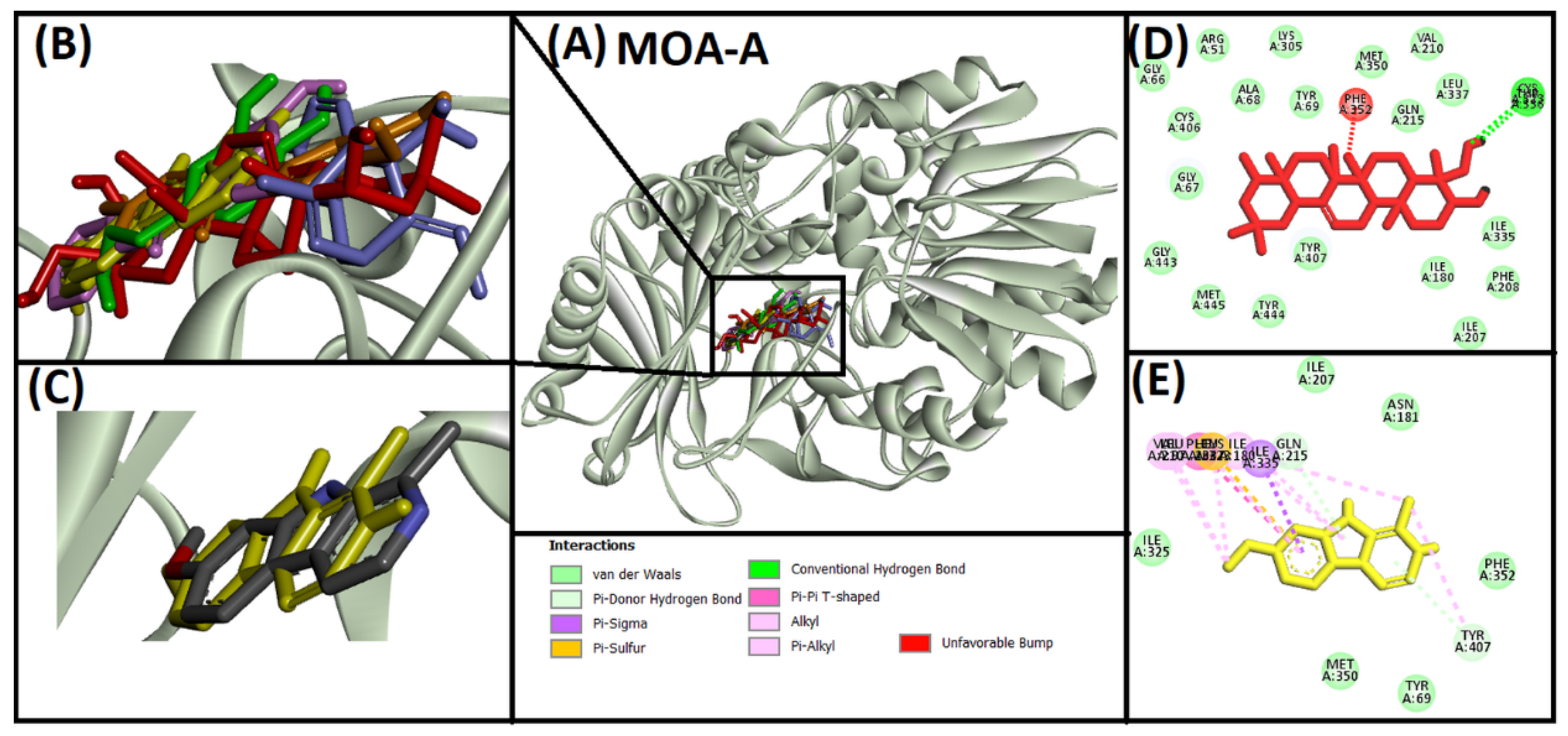 Entropy 24 00593 g004