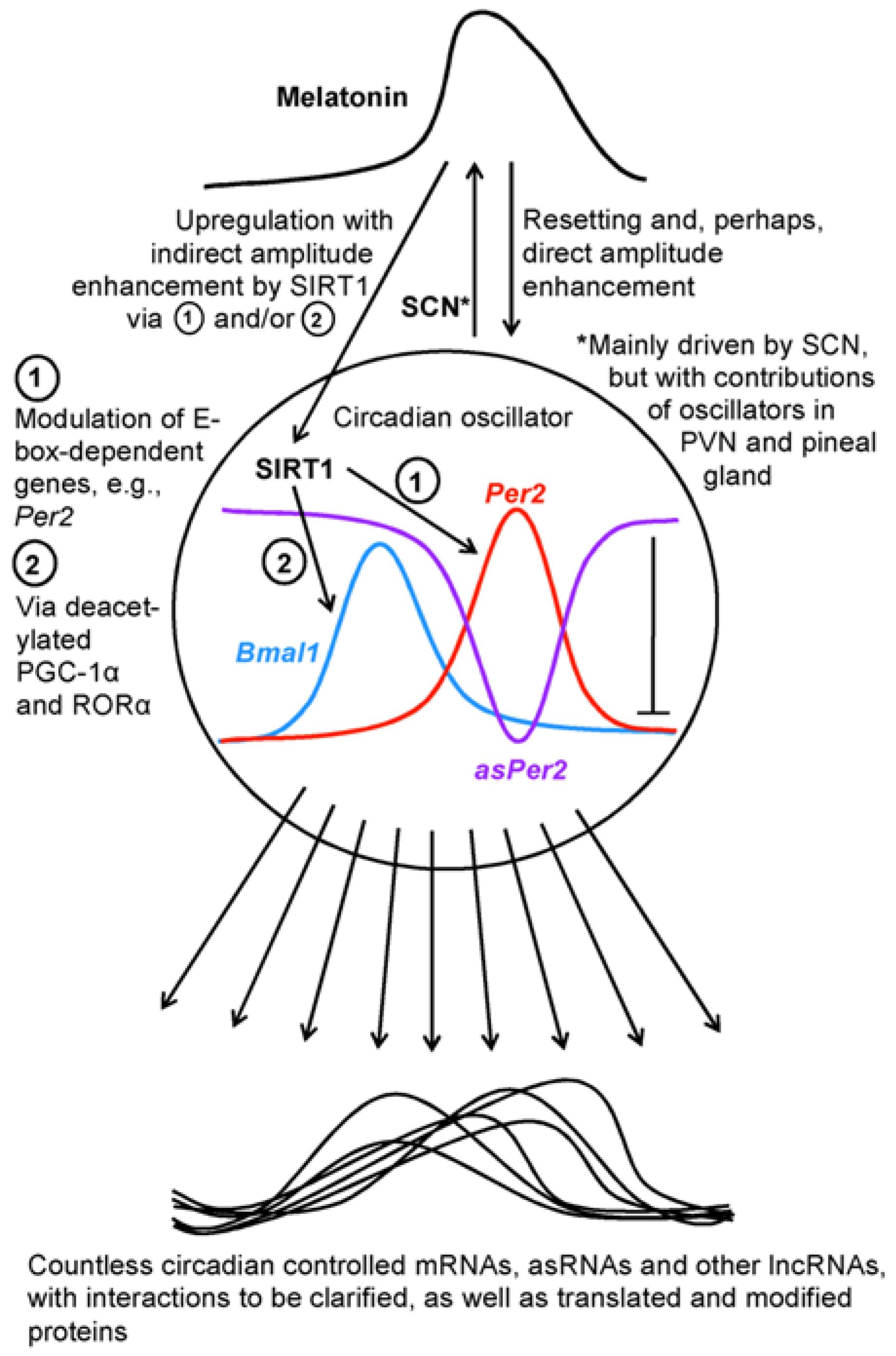 Epigenomes 02 00009 g001