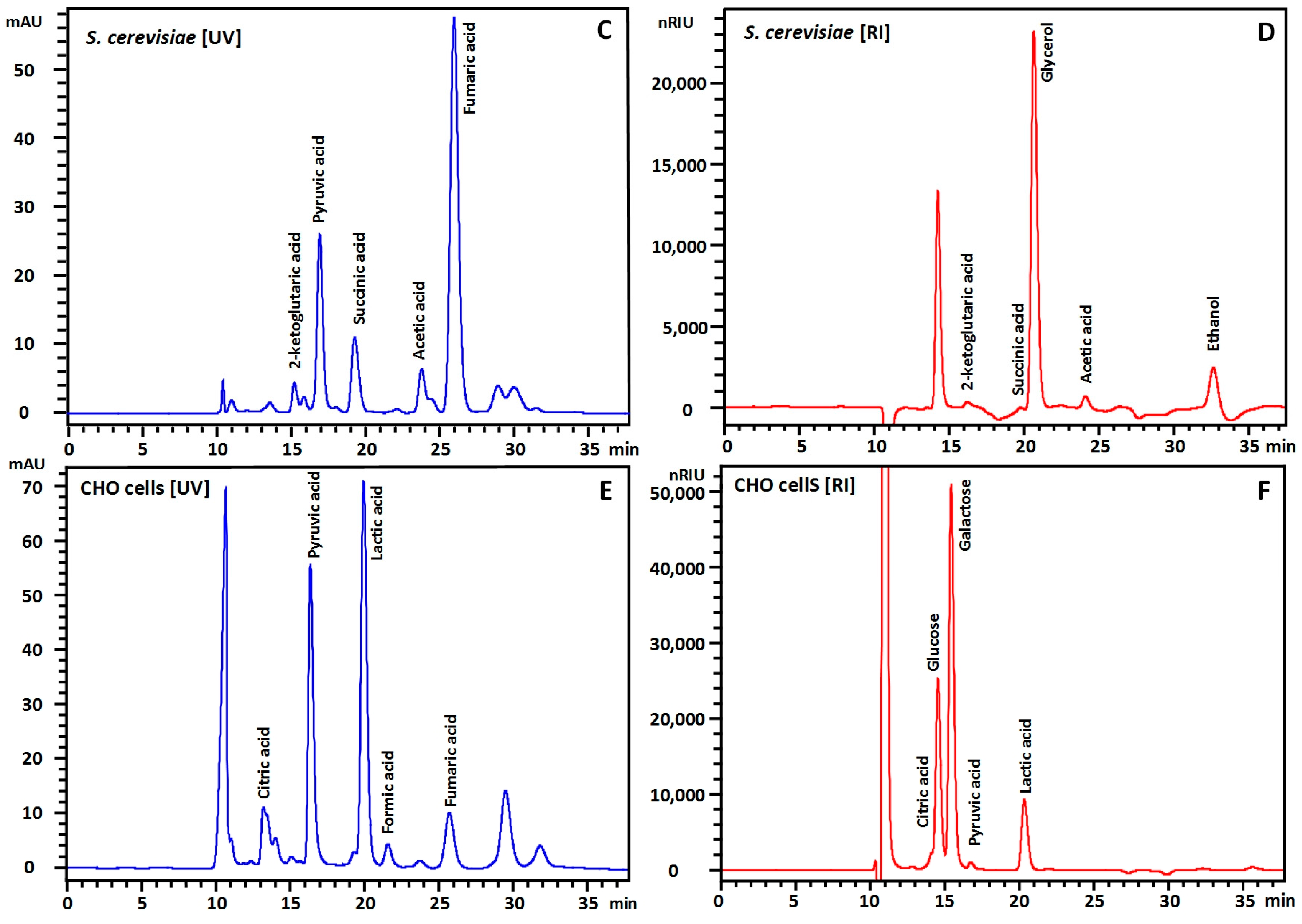 Fermentation 02 00006 g003b