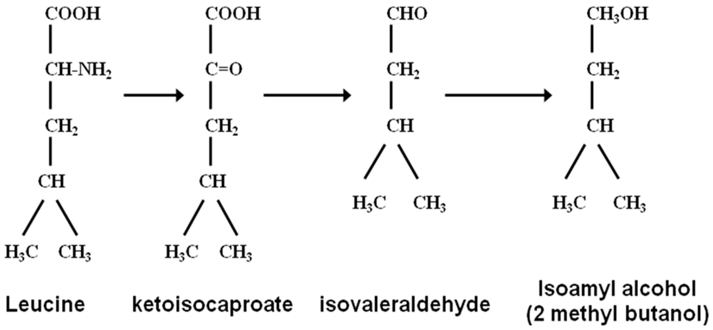 producing isoamyl acetate from isoamyl alcohol Exp't 87 going bananas over isoamyl acetate weigh 32 g of isoamyl alcohol directly into the flask add 5 ml of glacial acetic acid and 3. producing isoamyl acetate from isoamyl alcohol Exp't 87 going bananas over isoamyl acetate weigh 32 g of isoamyl alcohol directly into the flask add 5 ml of glacial acetic acid and 3.