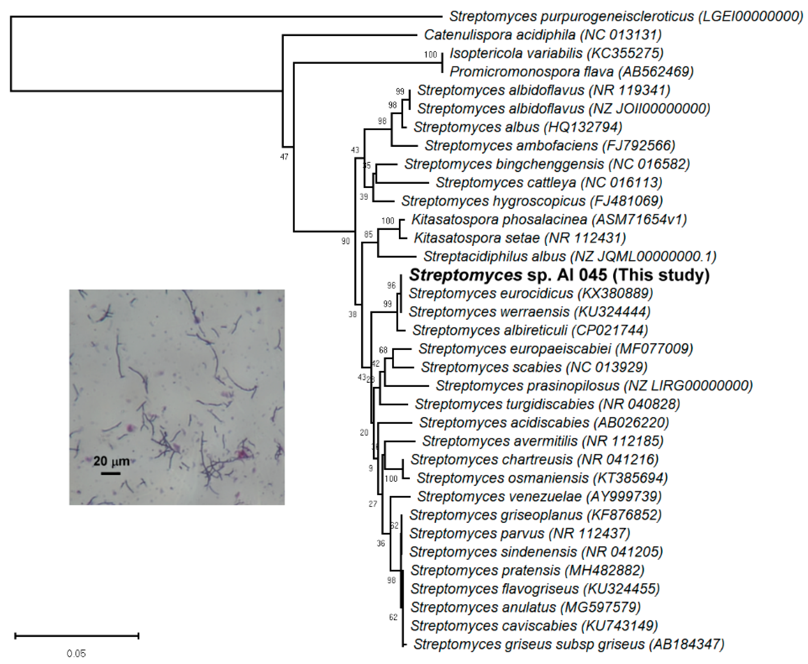 Fermentation 04 00101 g001