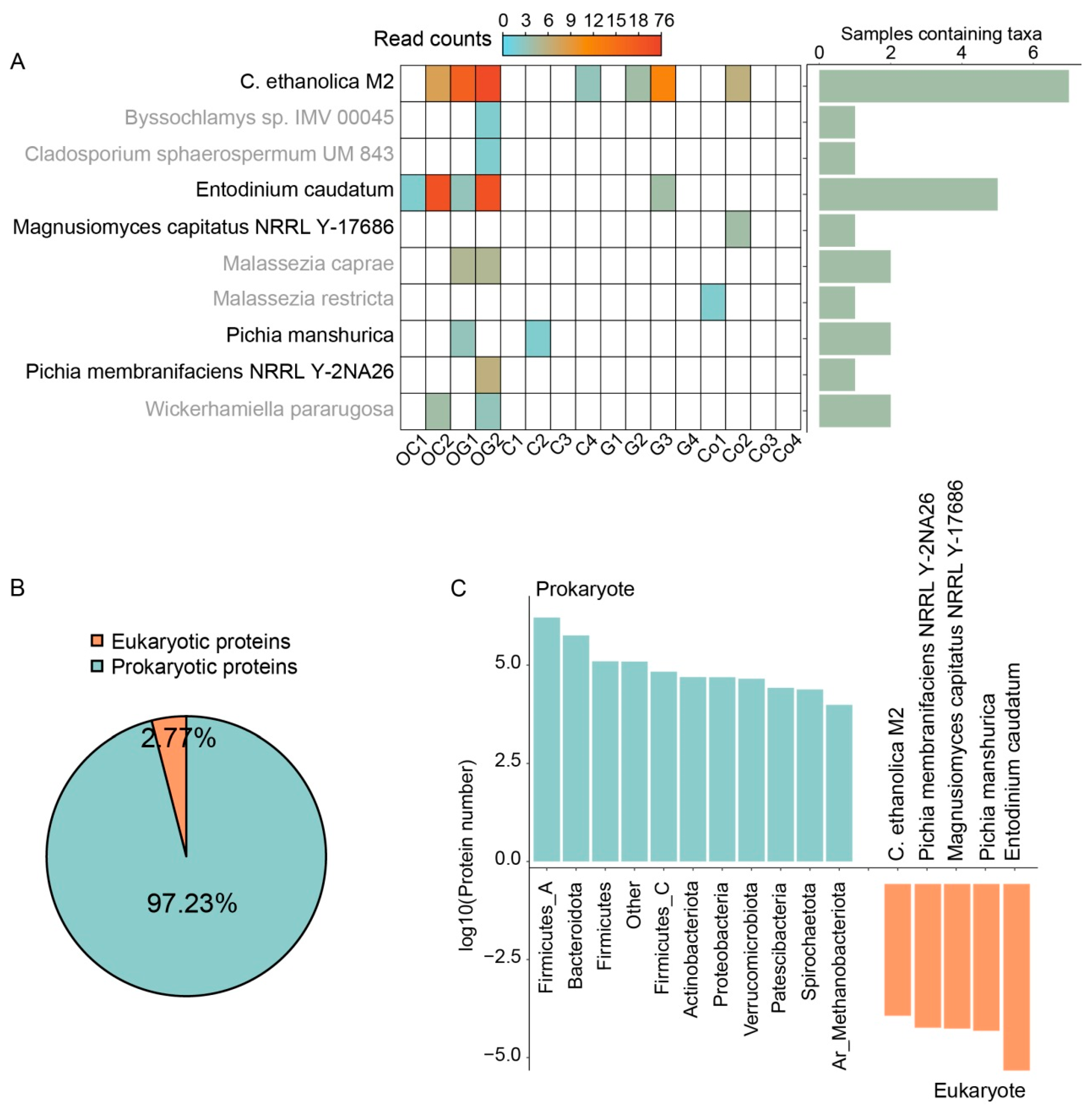 Fermentation 08 00394 g001
