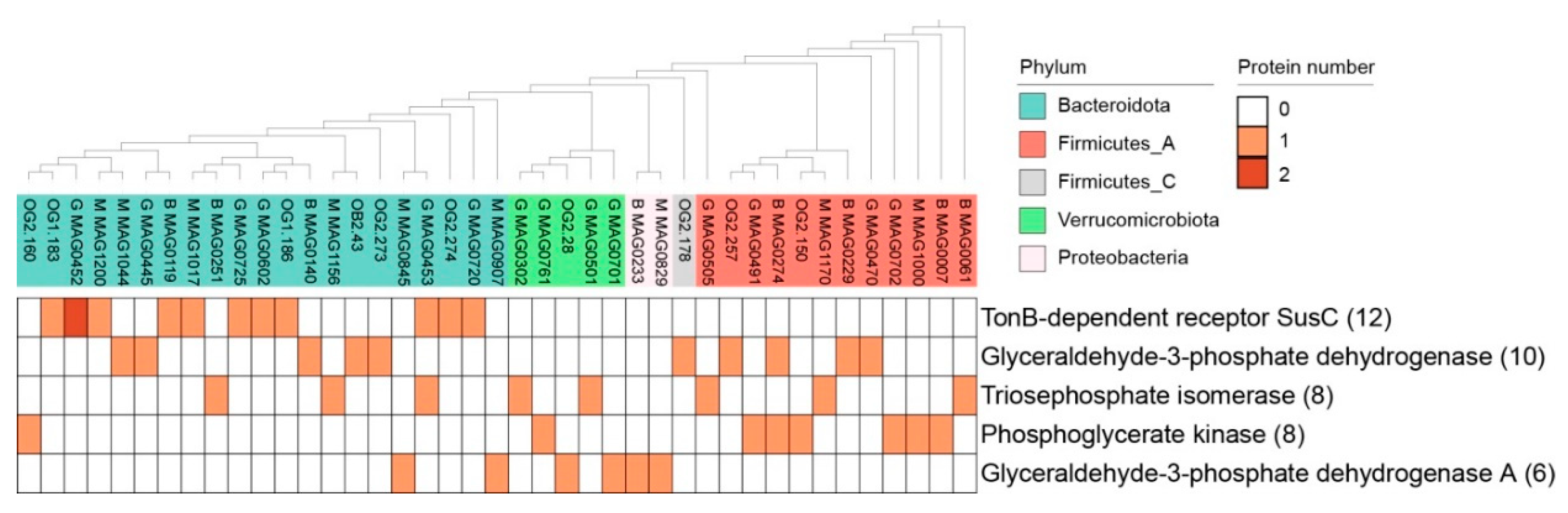 Fermentation 08 00394 g004