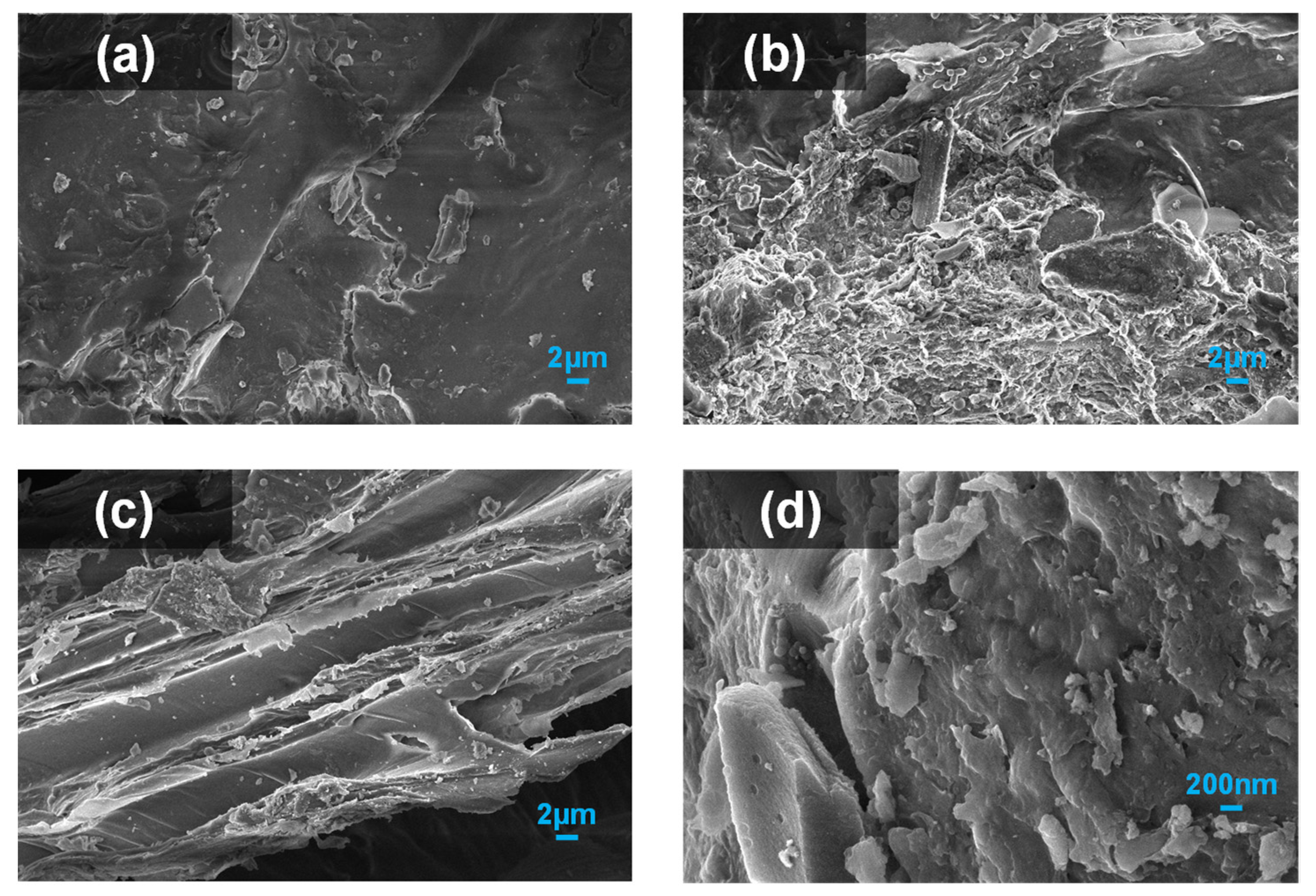 Fermentation 08 00397 g005