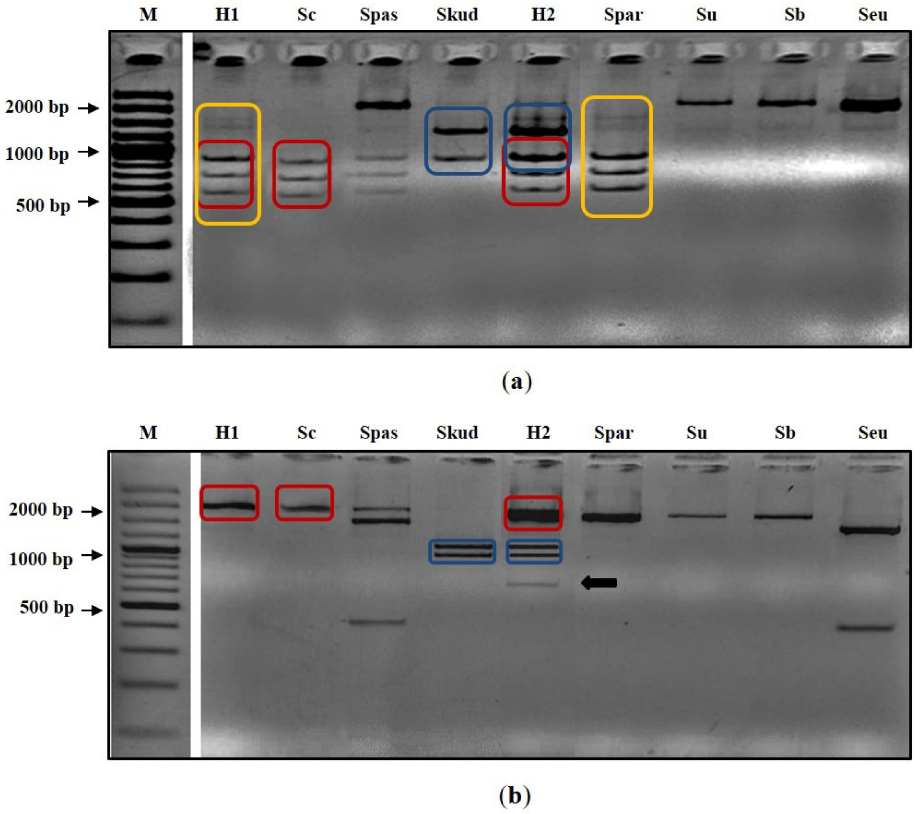 Fermentation 08 00416 g003