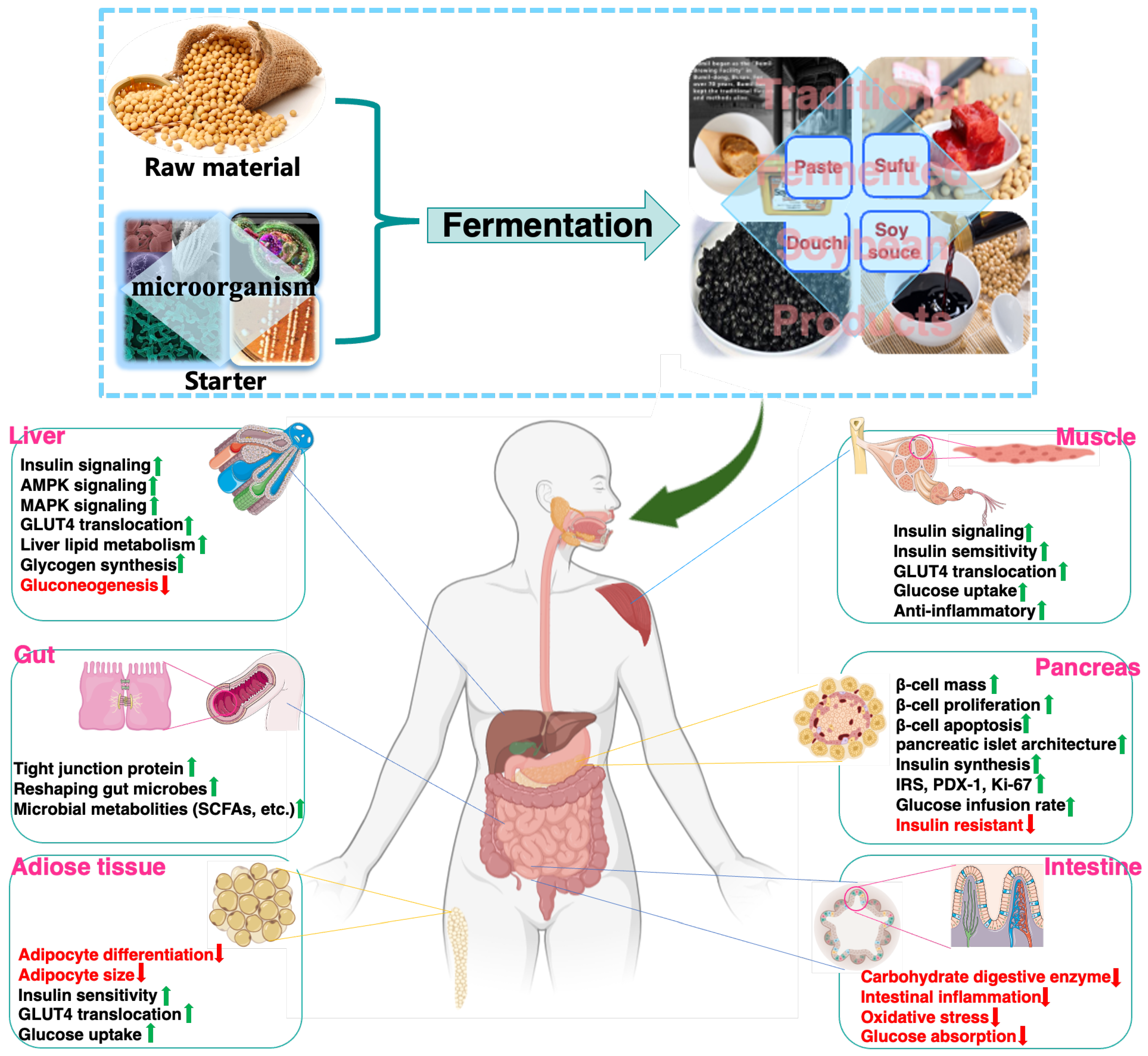 Fermentation 09 00254 g003