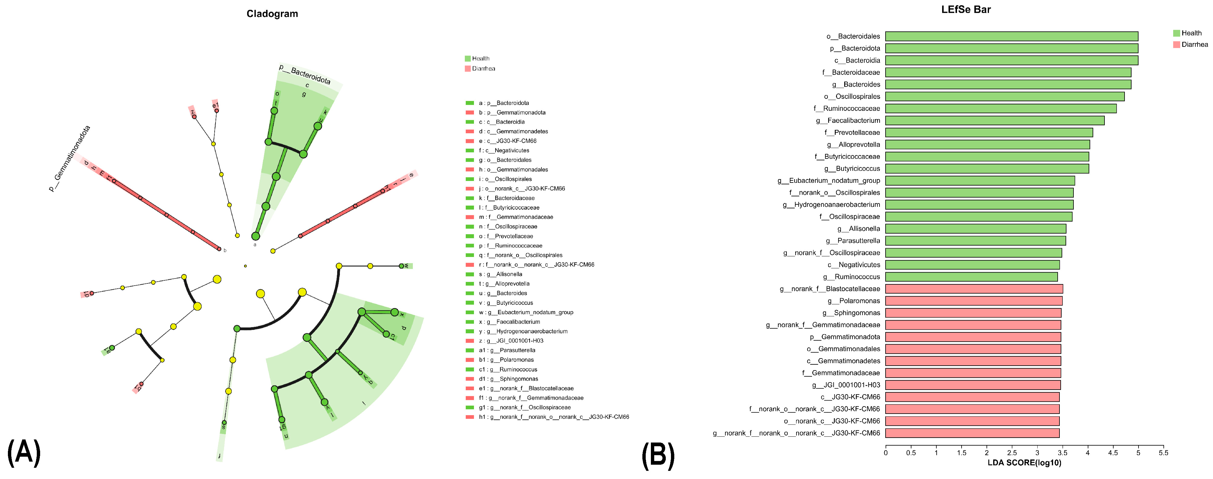 Fermentation 09 00827 g004