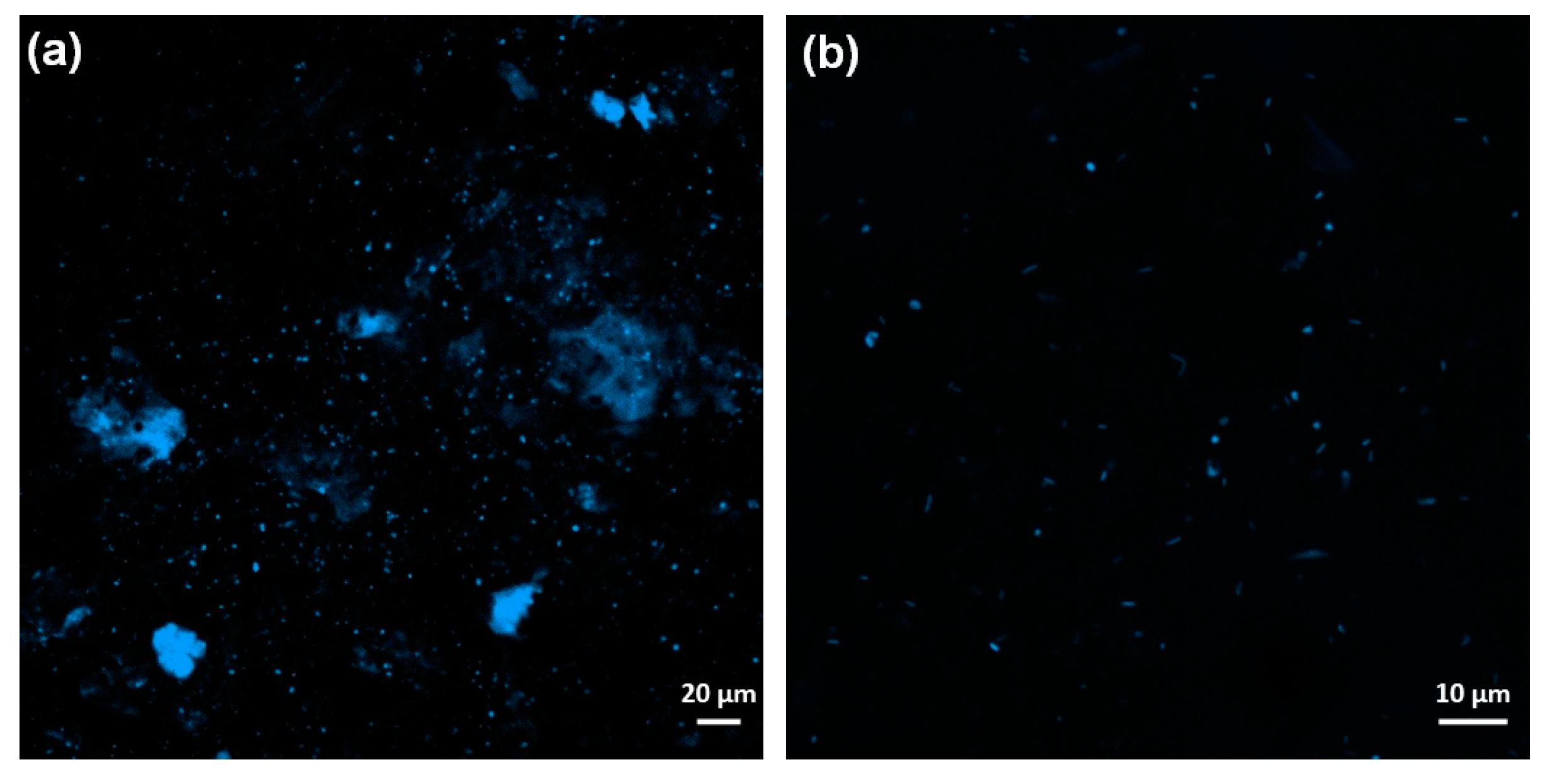 Fermentation 09 00848 g012a