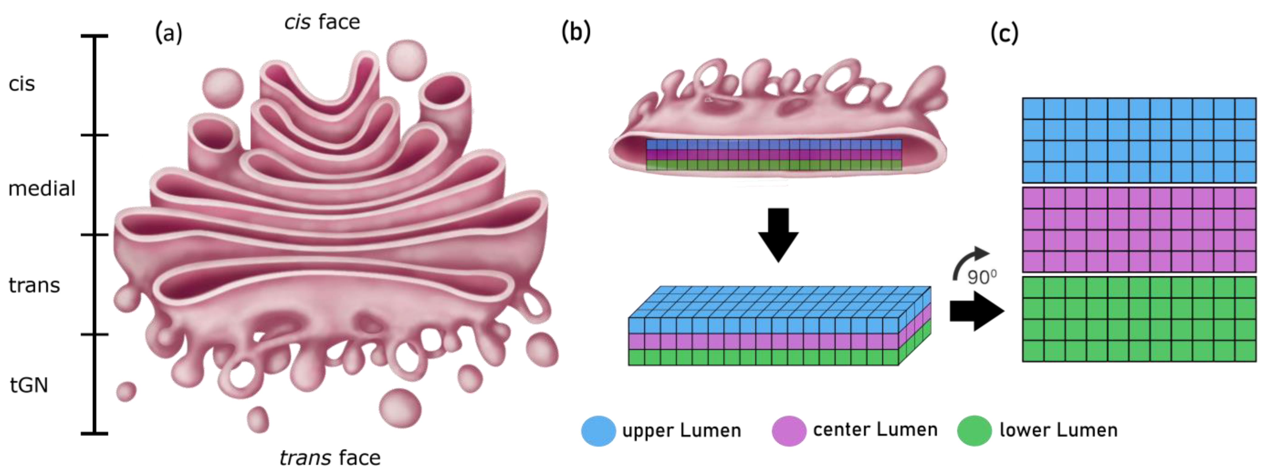 Fermentation 09 00849 g006