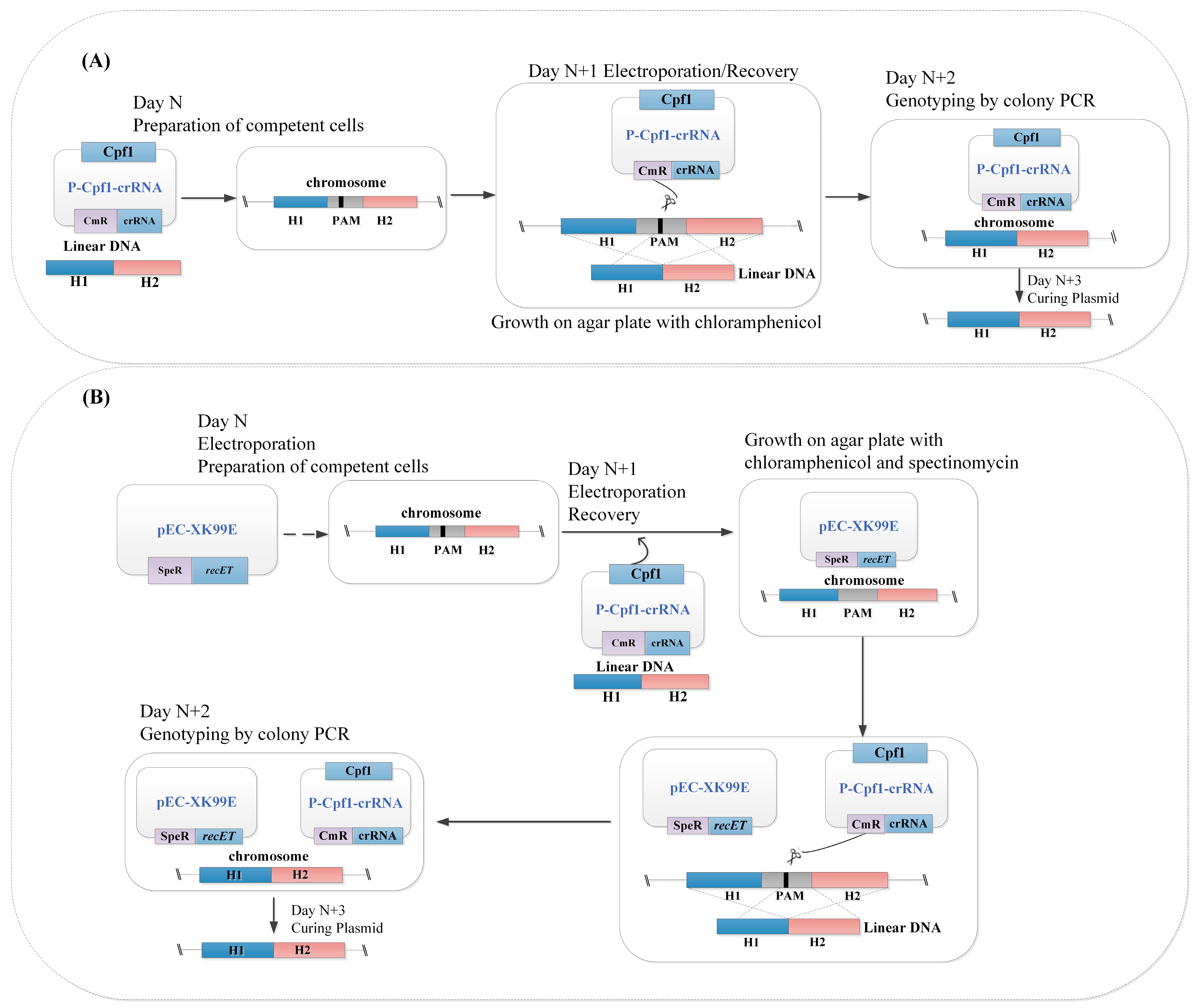 Fermentation 10 00031 g002