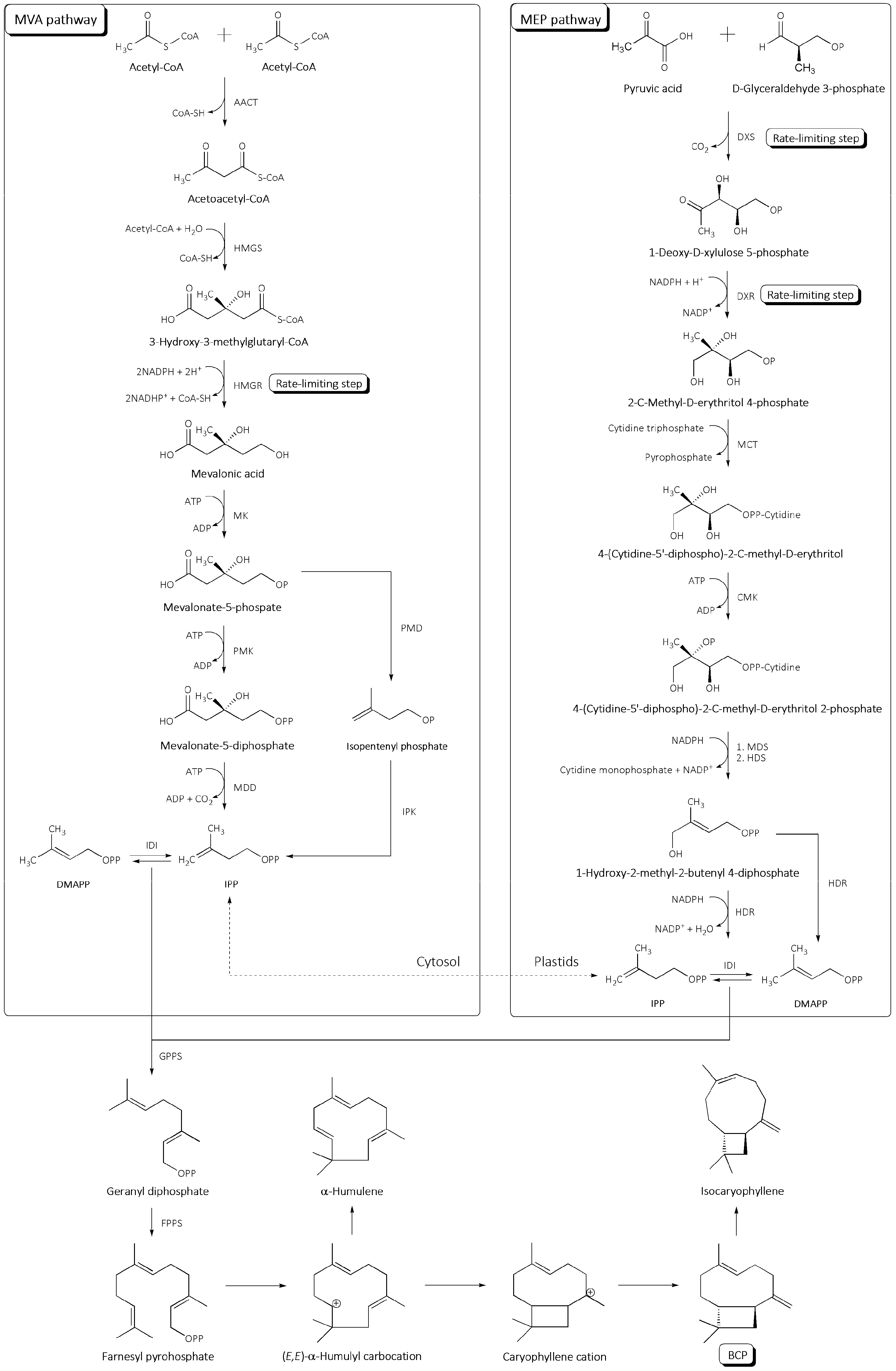 Fermentation 10 00060 g001