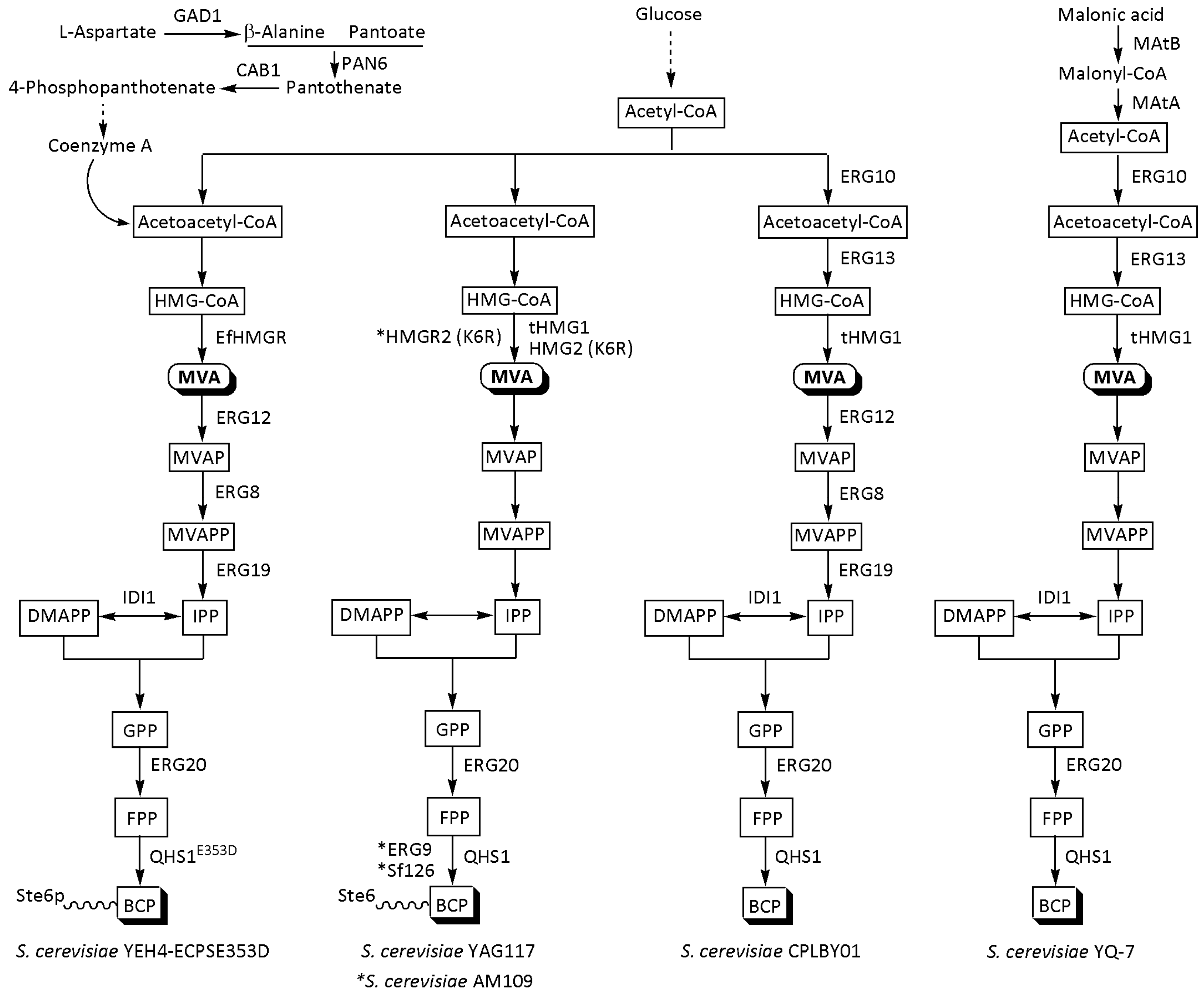 Fermentation 10 00060 g002