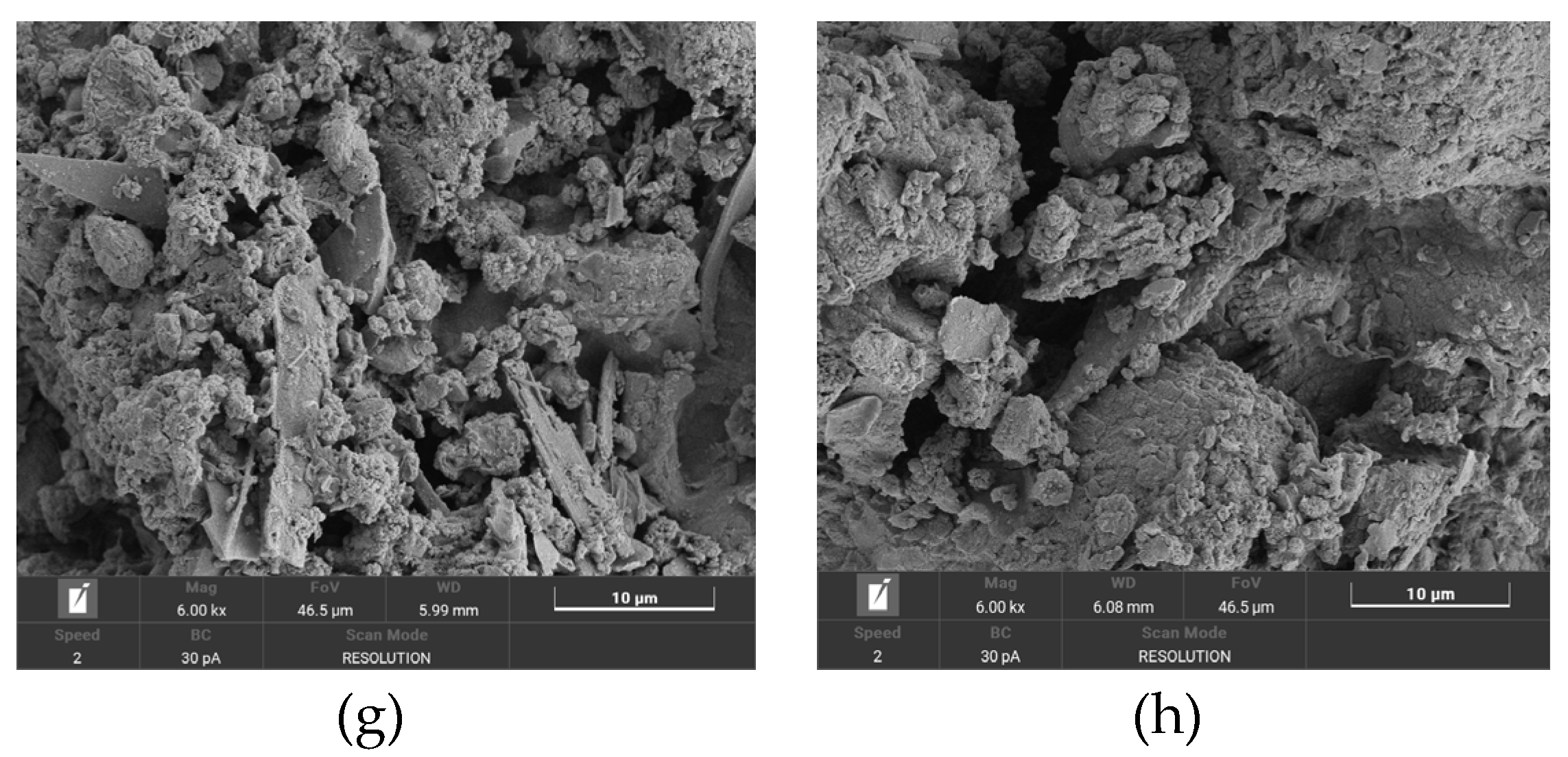 Fermentation 10 00070 g004b