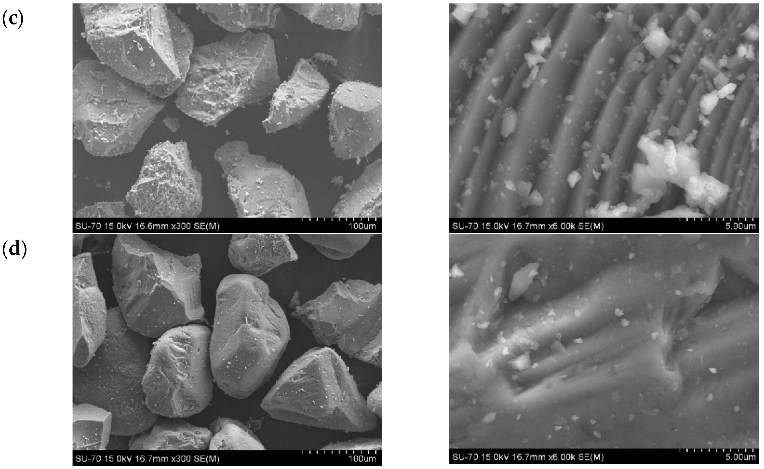Fermentation 10 00255 g003b