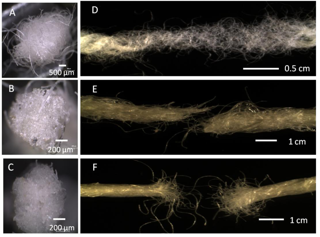 Fibers 01 00047 g002 1024