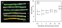 Fibers 01 00047 g003 200