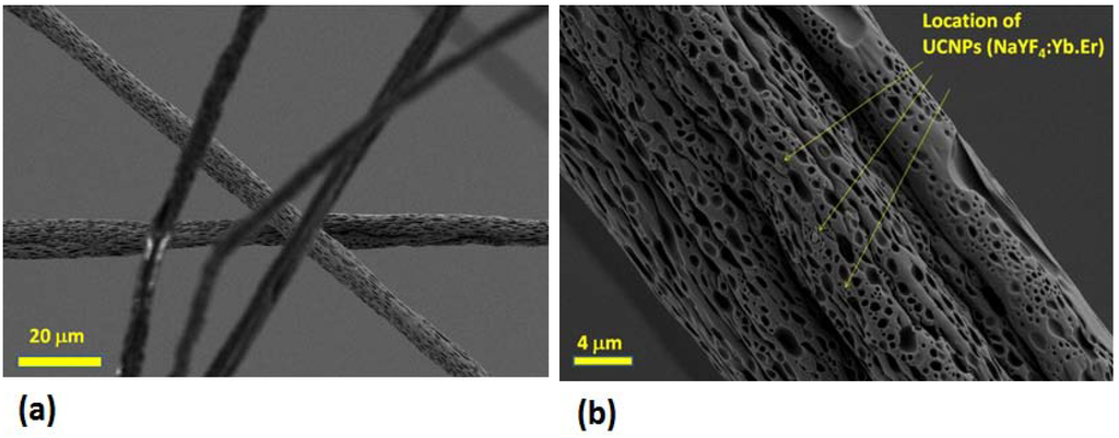 Fibers 02 00075 g006 1024